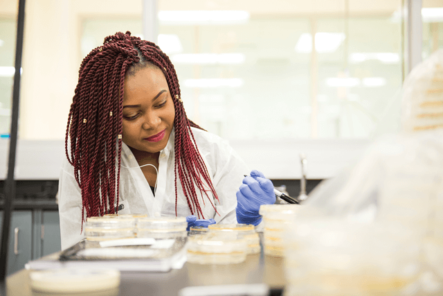 biological sciences student in lab